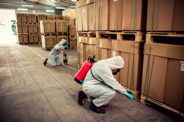 Best Pest Control Near Me  in Suffern, NY