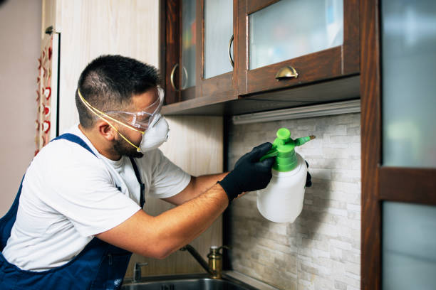 Best Best Pest Control Companies  in Suffern, NY