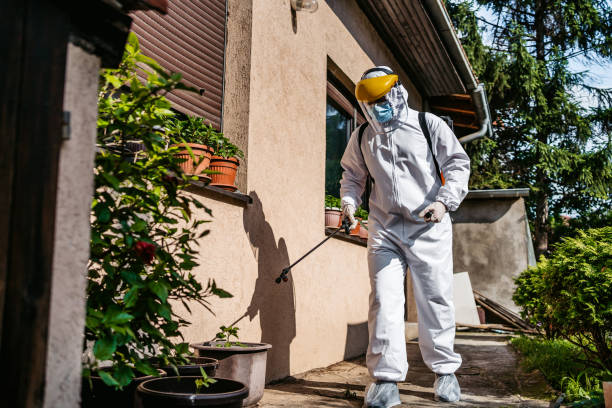 Best Pest Removal Services  in Suffern, NY