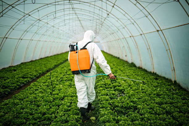 Best Pest Control for Businesses  in Suffern, NY