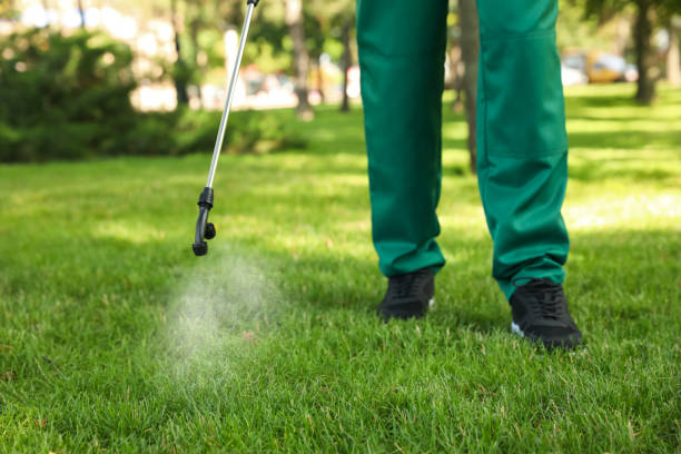 Best Cockroach Control Services  in Suffern, NY