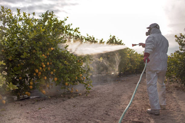 Best Pest Control for Homes  in Suffern, NY