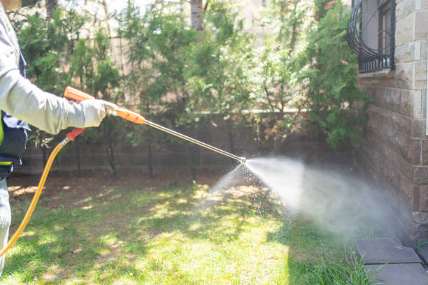 Best Pest Prevention Services  in Suffern, NY