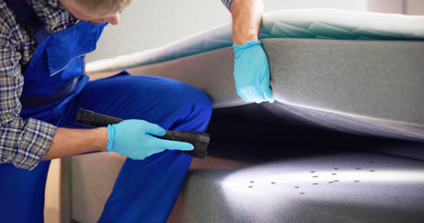 Best Emergency Pest Control  in Suffern, NY