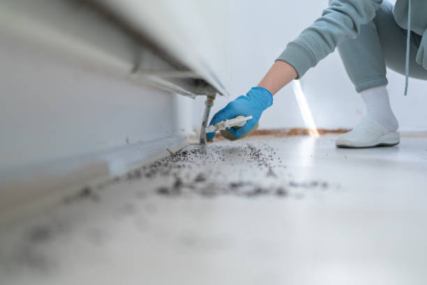Best Commercial Pest Control Services  in Suffern, NY