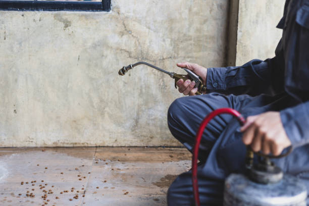 Best Wasp Removal Services  in Suffern, NY