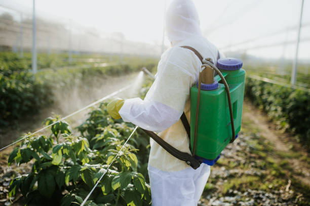Best Ant Control Services  in Suffern, NY